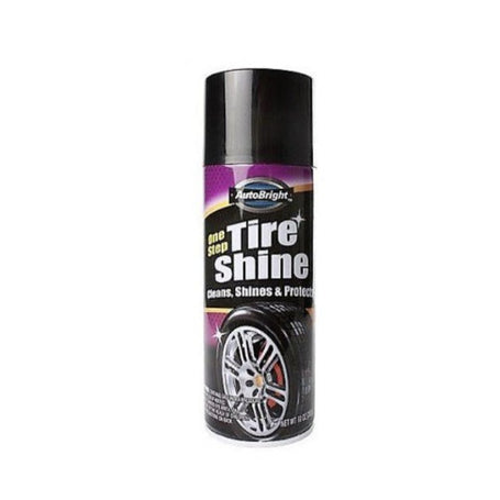 Tire Shine Safe Can